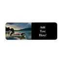 Search for mallard return address labels Lake