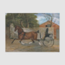 Search for paint horse tissue paper Equine