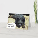 Search for date anniversary cards I love you