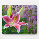 Search for stargazer lily mousepads Floral