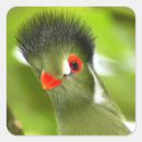 Search for green bird stickers Wildlife