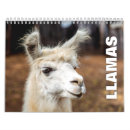 Search for llama calendars Nature