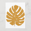 Search for leaf postcards Monstera