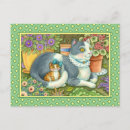 Search for purr postcards Feline