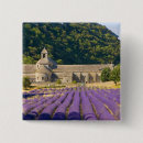 Search for orders badges Purple
