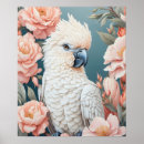 Search for cockatoo posters Animal