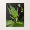 Search for ganja Cannabis