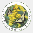 Search for swallowtail stickers Papilio glaucus