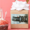 Search for noisy stickers Bird