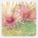 Search for desert flower stickers Pink