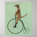 Search for meerkat posters Flower leaves
