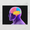 Search for human representation postcards Biology