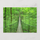 Search for suspension bridge postcards Nature