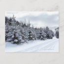 Search for evergreen postcards Landscape