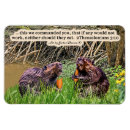 Search for 3 rivers magnets Nature