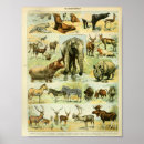 Search for rhinoceros paintings posters Hippo