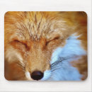 Search for foxy mousepads Animal
