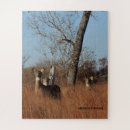 Search for whitetail deer puzzles Does