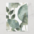 Search for water postcards Botanical