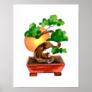 Search for bonsai posters Meditation