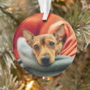 Search for chihuahua christmas decor Canine