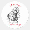 Search for marmot stickers Mammal