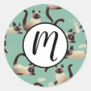 Search for siamese cat round stickers Kittens
