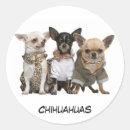 Search for tiny animal stickers Cute