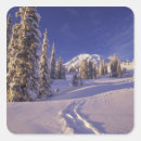 Search for mt washington stickers Usa