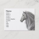 Search for stallion business cards Equestrian
