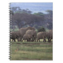 Search for habitat notebooks Environment