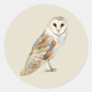 Search for wild birds stickers Watercolor