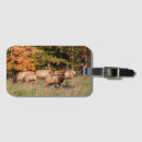Search for bulls travel accessories Animals