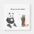 Search for relation magnets Cartoon