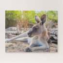Search for kangaroo puzzles Marsupial