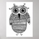 Search for owl drawing posters Bird