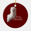 Search for maltese christmas tree decorations Dog
