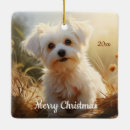 Search for maltese dog christmas tree decorations Watercolor