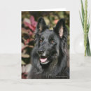 Search for black german shepherd cards Alsatian
