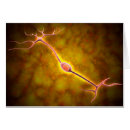 Search for electrical synapse Electricity