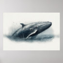 Search for jumping whale posters Animal