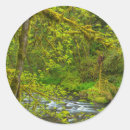 Search for eagle creek stickers Forest