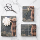 Search for highland cow wrapping paper Calf