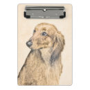 Search for mini dachshund Long haired dachshund