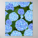 Search for hydrangea posters Floral