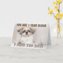 Search for shih tzu birthday cards Cute