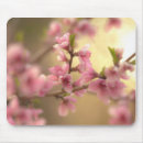 Search for cherry blossom mousepads Flower