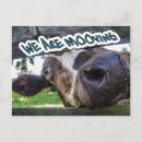 Search for livestock invitations Cow