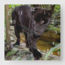 Search for black panther clocks Big cat