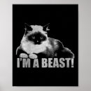 Search for cat stamp posters Aesthetic